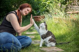 Mit Liebe und Respekt als Partner durchs Leben.